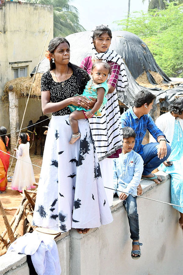 Great Cattle Festival Photos In Ramireddypalli Of Chandragiri - Sakshi38