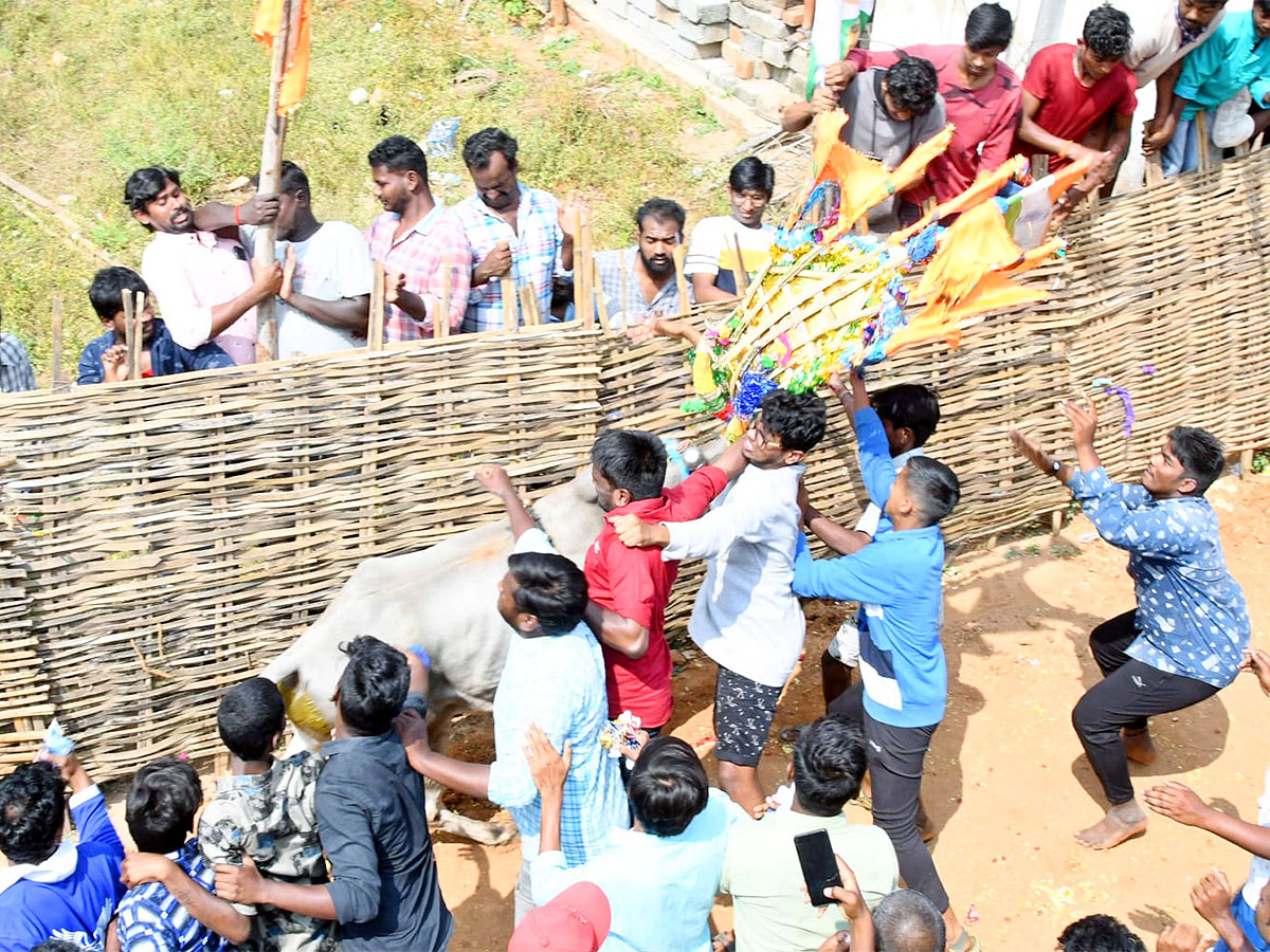 Great Cattle Festival Photos In Ramireddypalli Of Chandragiri - Sakshi6