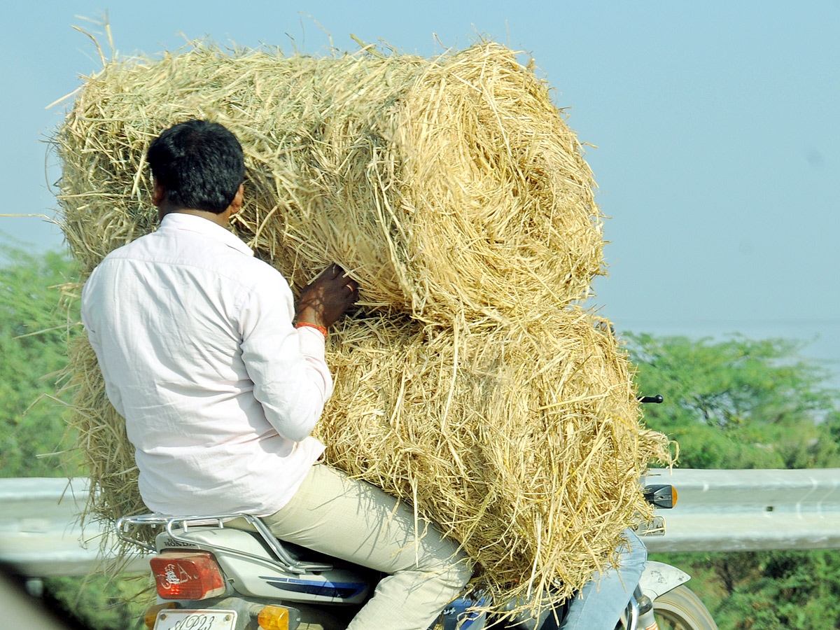 Best Photos of The Week in AP and Telangana Photo Gallery - Sakshi49