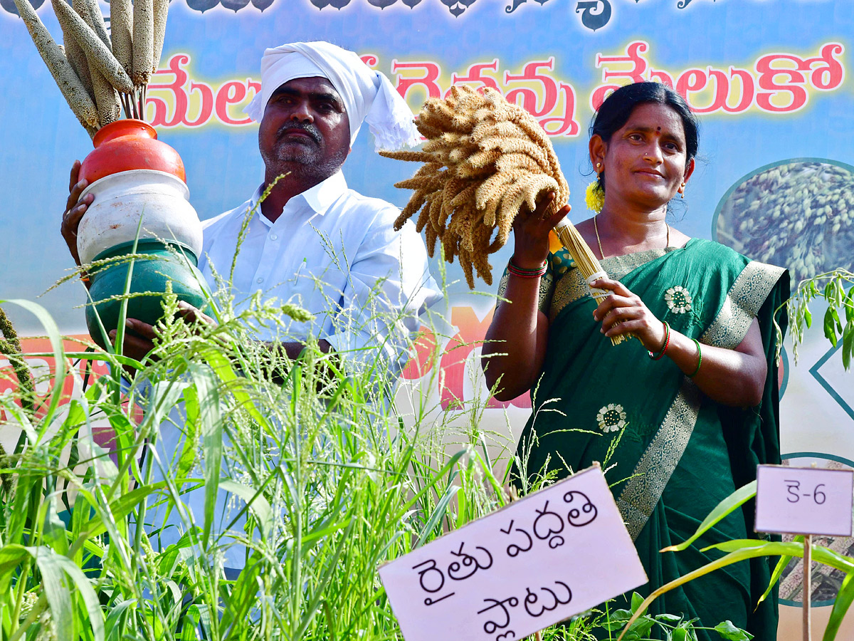 Best Photos of The Week in AP and Telangana Photo Gallery - Sakshi8