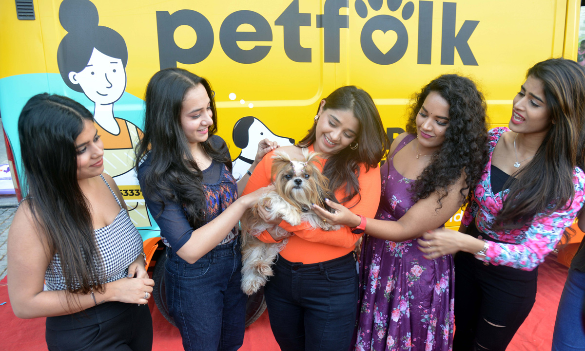 Pet Grooming Van Photos  - Sakshi7