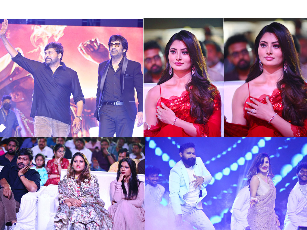 waltair veerayya pre release event Photos - Sakshi1