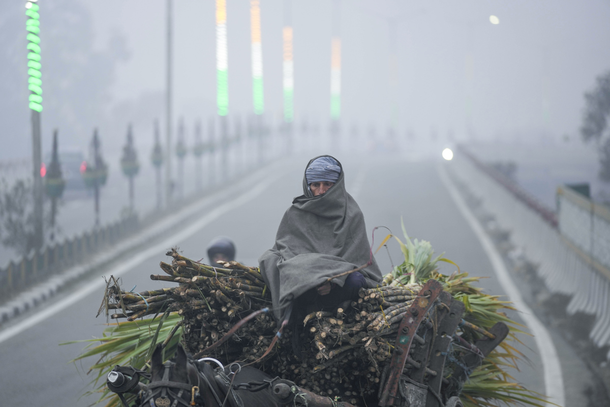 Cold wave continues in Delhi  - Sakshi20