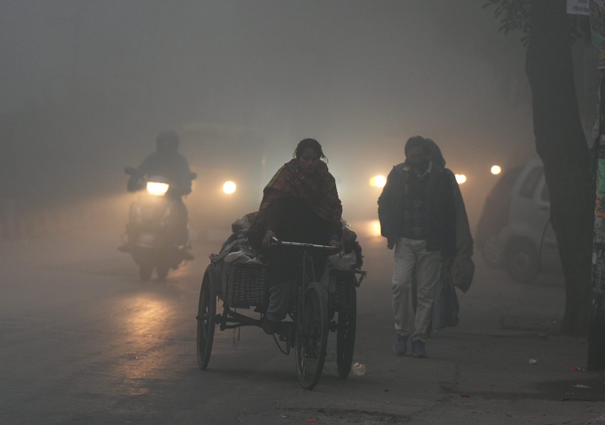 Cold wave continues in Delhi  - Sakshi26