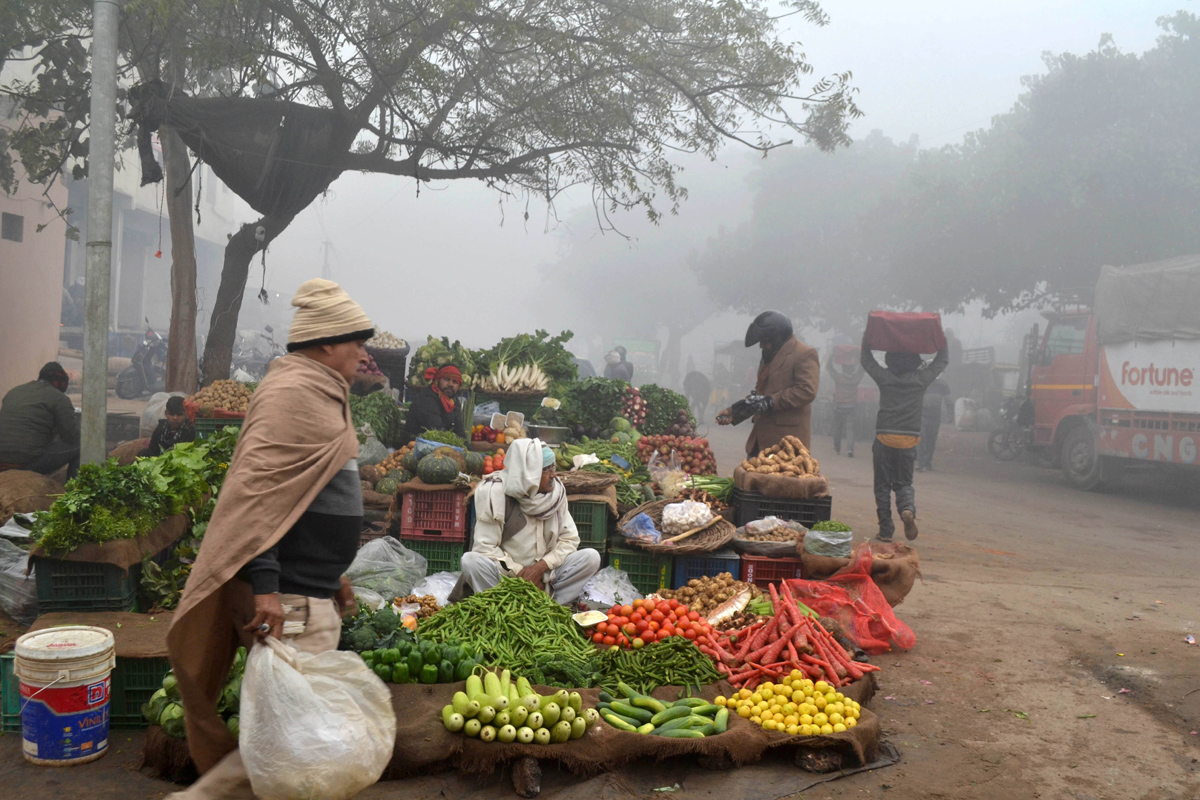 Cold wave continues in Delhi  - Sakshi29