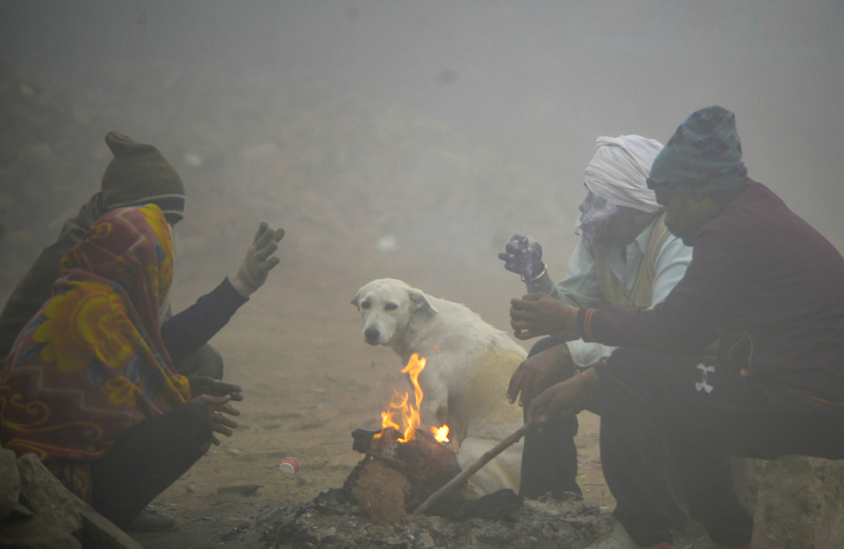 Cold wave continues in Delhi  - Sakshi1