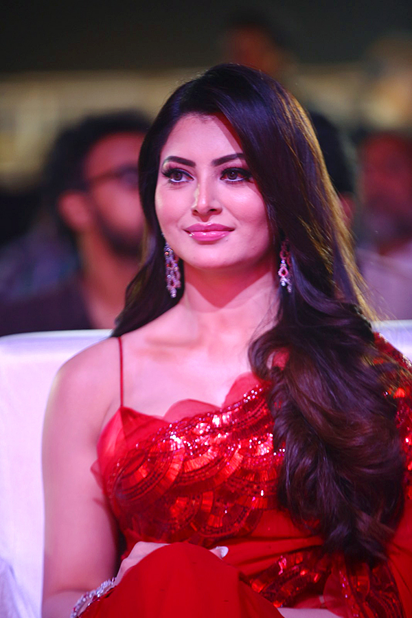 Urvashi Rautela at Waltair Veerayya Pre Release Event Pics - Sakshi17