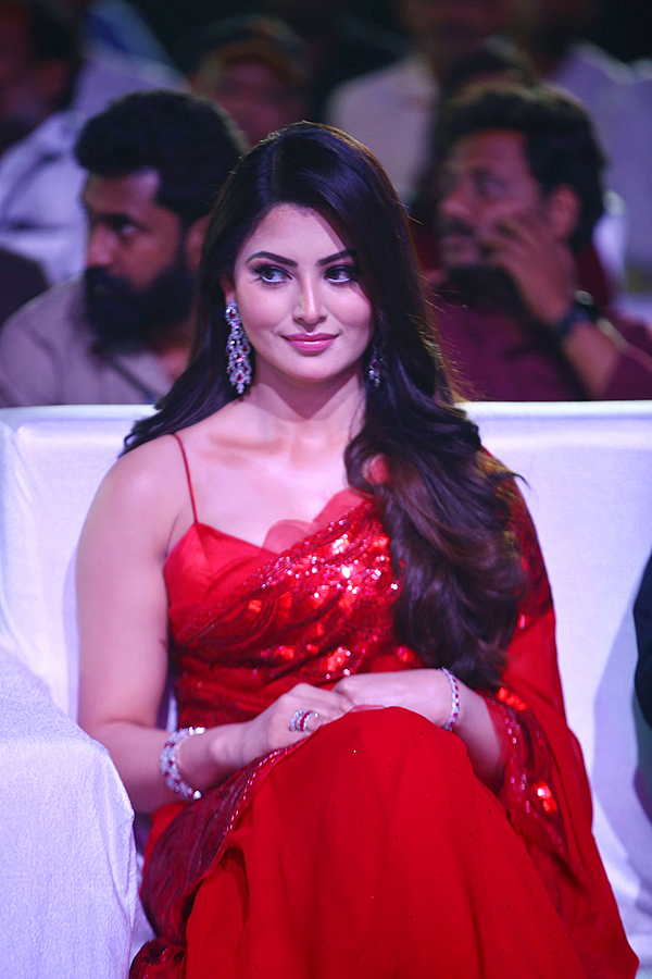 Urvashi Rautela at Waltair Veerayya Pre Release Event Pics - Sakshi2
