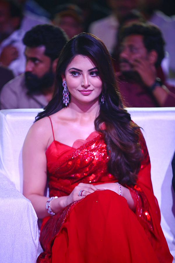Urvashi Rautela at Waltair Veerayya Pre Release Event Pics - Sakshi3