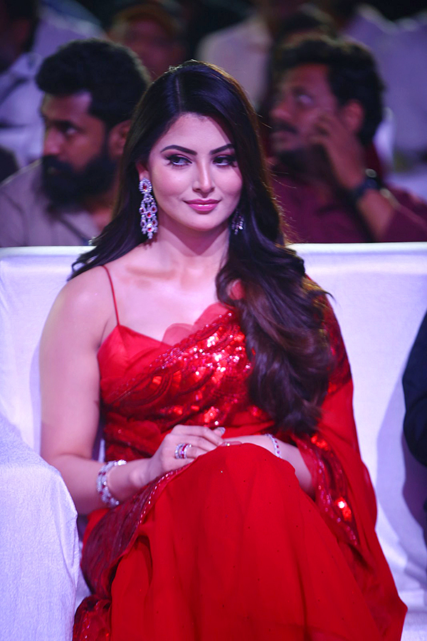 Urvashi Rautela at Waltair Veerayya Pre Release Event Pics - Sakshi4