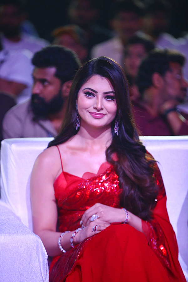 Urvashi Rautela at Waltair Veerayya Pre Release Event Pics - Sakshi7