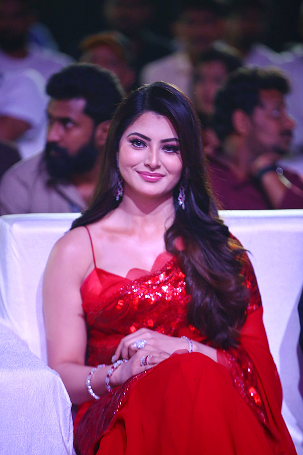 Urvashi Rautela at Waltair Veerayya Pre Release Event Pics - Sakshi8