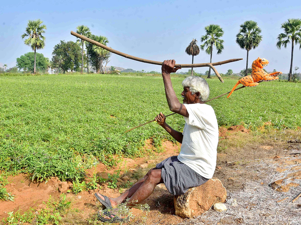 Best Photos of The Week in AP and Telangana Photo Gallery - Sakshi13