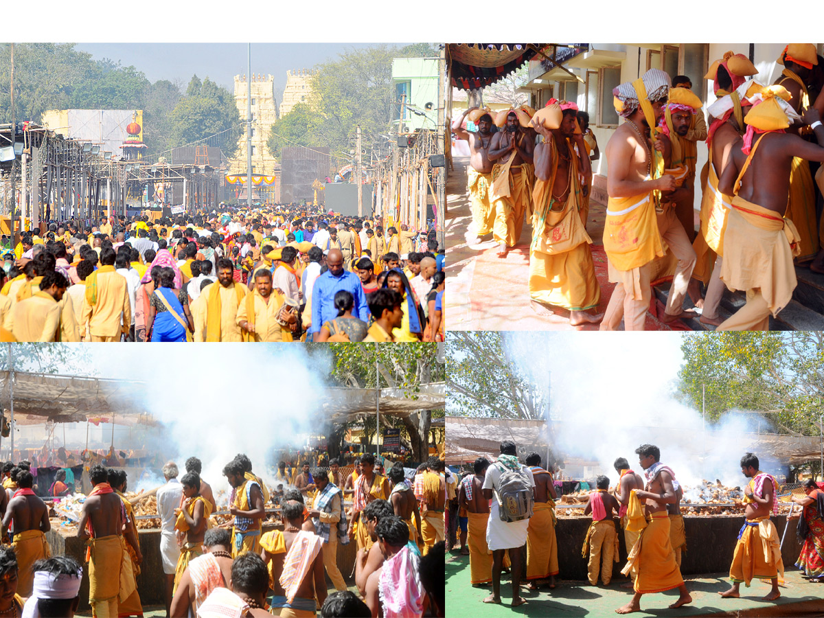 Shivaratri celebrations In Srisailam Photo Gallery - Sakshi1