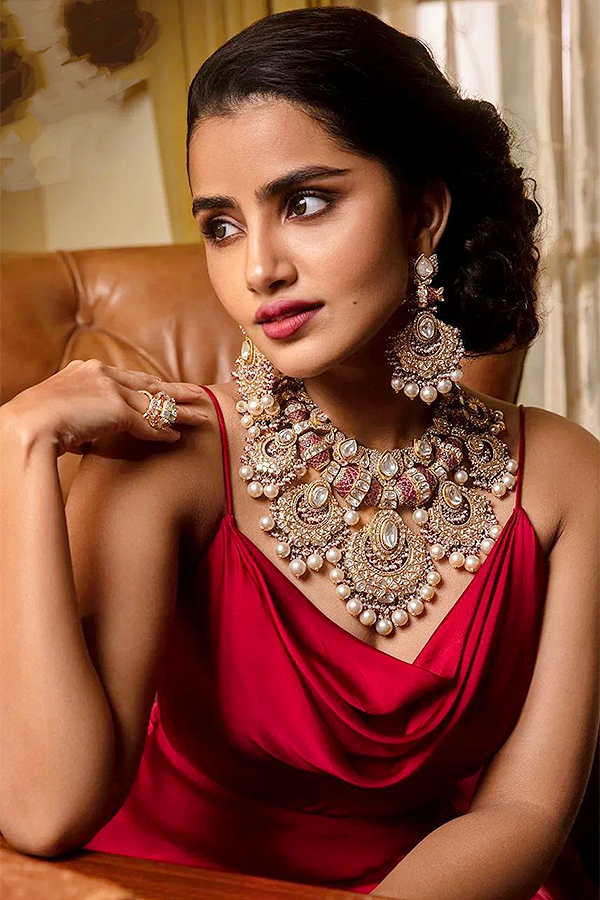 HBD Anupama Parameswaran Pics  - Sakshi24