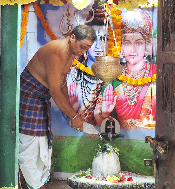 Mahashivratri 2023 Celebrations Telugu states - Sakshi29