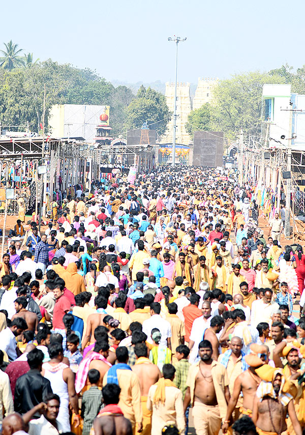 Mahashivratri 2023 Celebrations Telugu states - Sakshi31