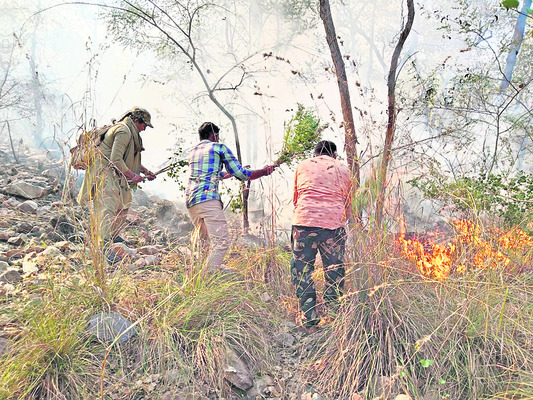 మంటలను అదుపు చేస్తున్న అటవీ సిబ్బంది1