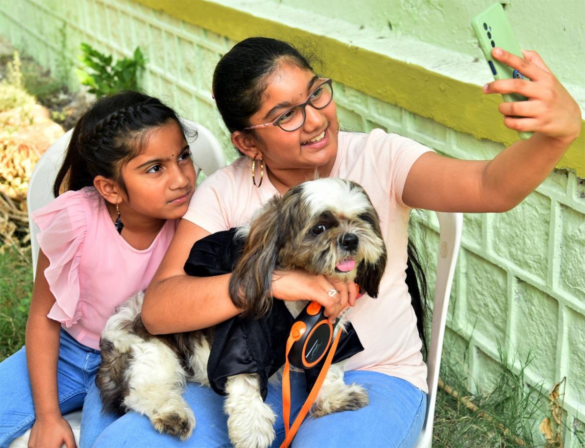 Dog Show In Guntur - Sakshi2