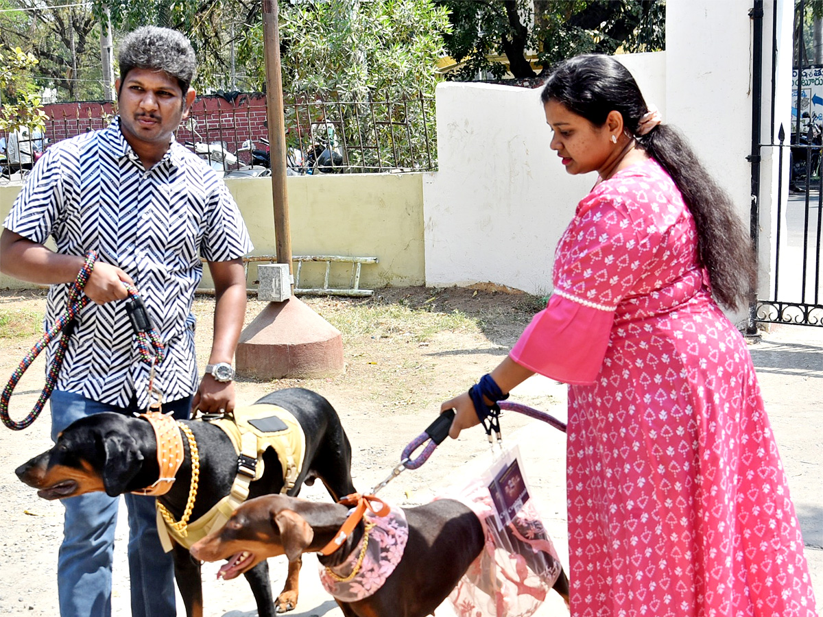 Dog Show In Guntur - Sakshi4