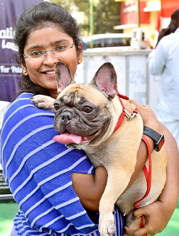 Dog Show In Guntur - Sakshi14