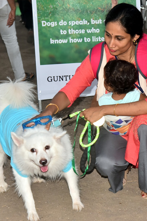 Dog Show In Guntur - Sakshi16