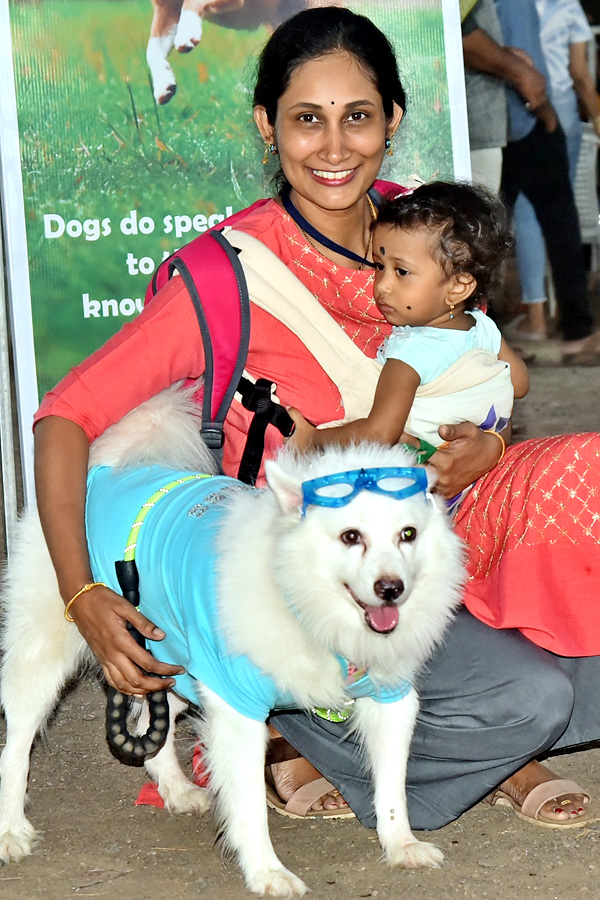 Dog Show In Guntur - Sakshi17