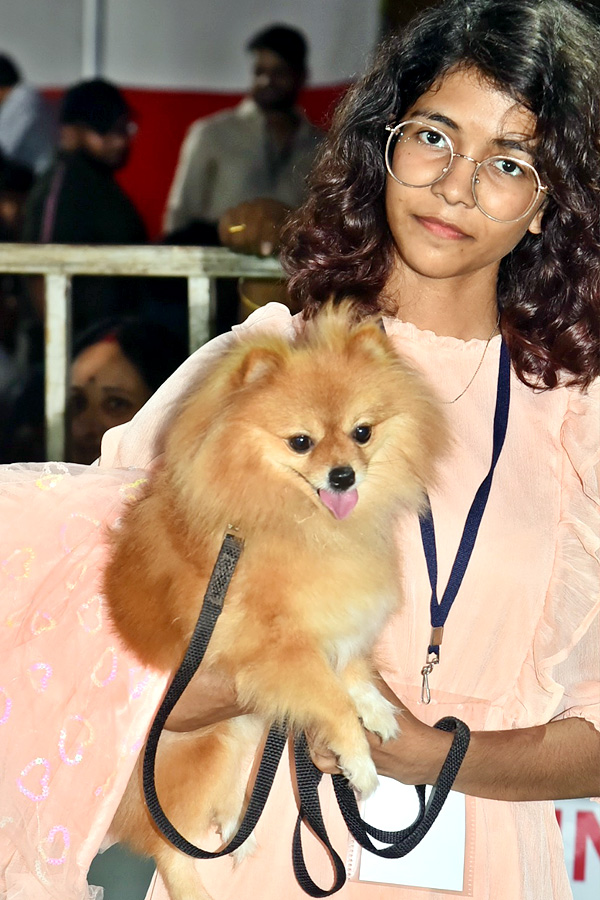 Dog Show In Guntur - Sakshi18