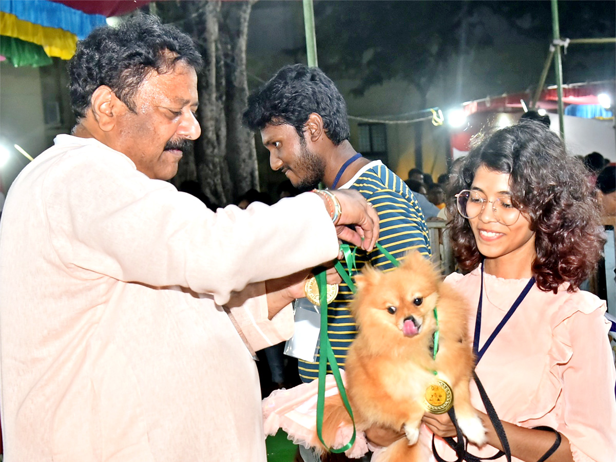 Dog Show In Guntur - Sakshi11