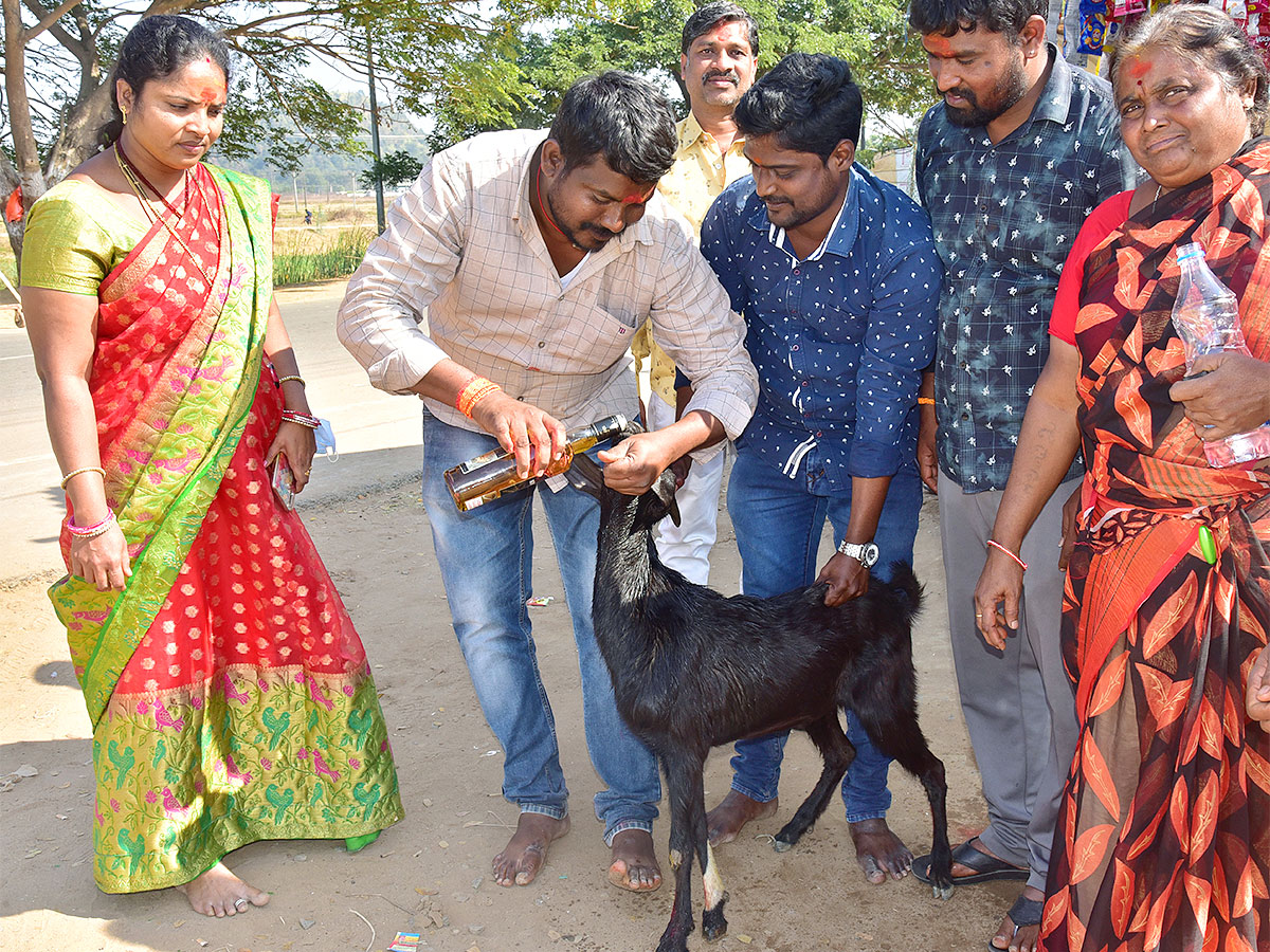 Medaram Sammakka Sarakka Chinna Jatara 2023 Photos - Sakshi11