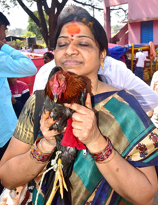 Medaram Sammakka Sarakka Chinna Jatara 2023 Photos - Sakshi42