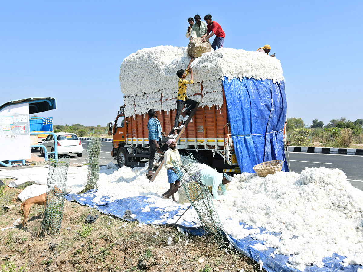 Best Photos of The Week in AP and Telangana Photo Gallery - Sakshi3