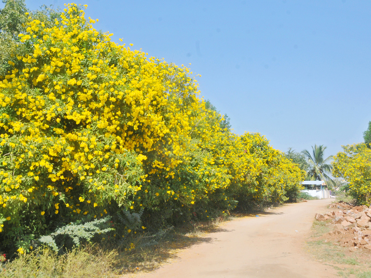 Best Photos of The Week in AP and Telangana Photo Gallery - Sakshi5