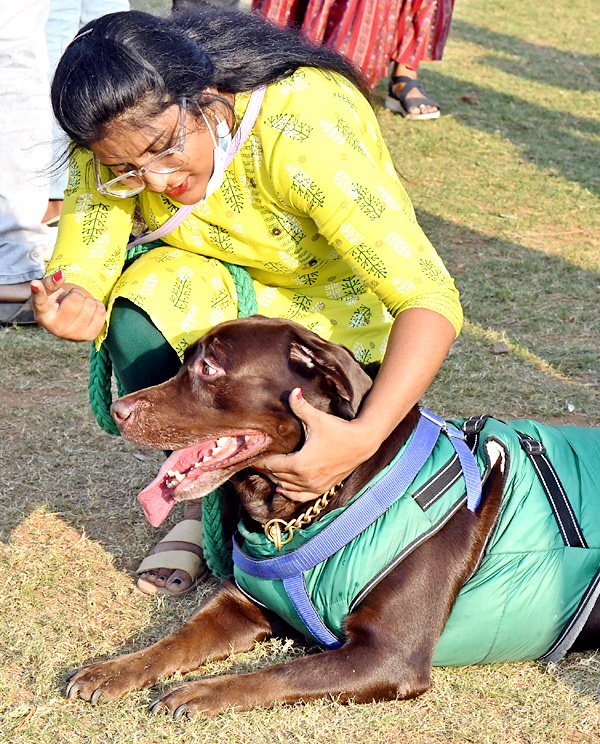 Dog show In Visakhapatnam - Sakshi16