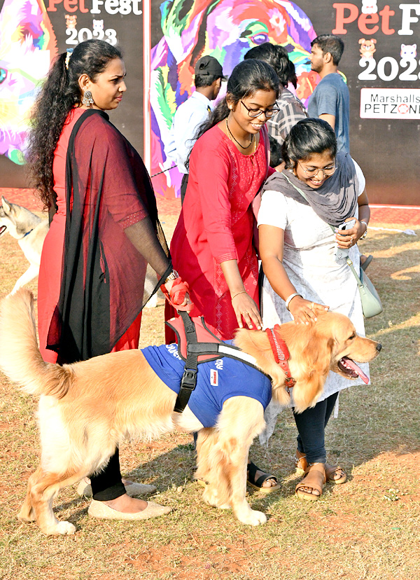 Dog show In Visakhapatnam - Sakshi17