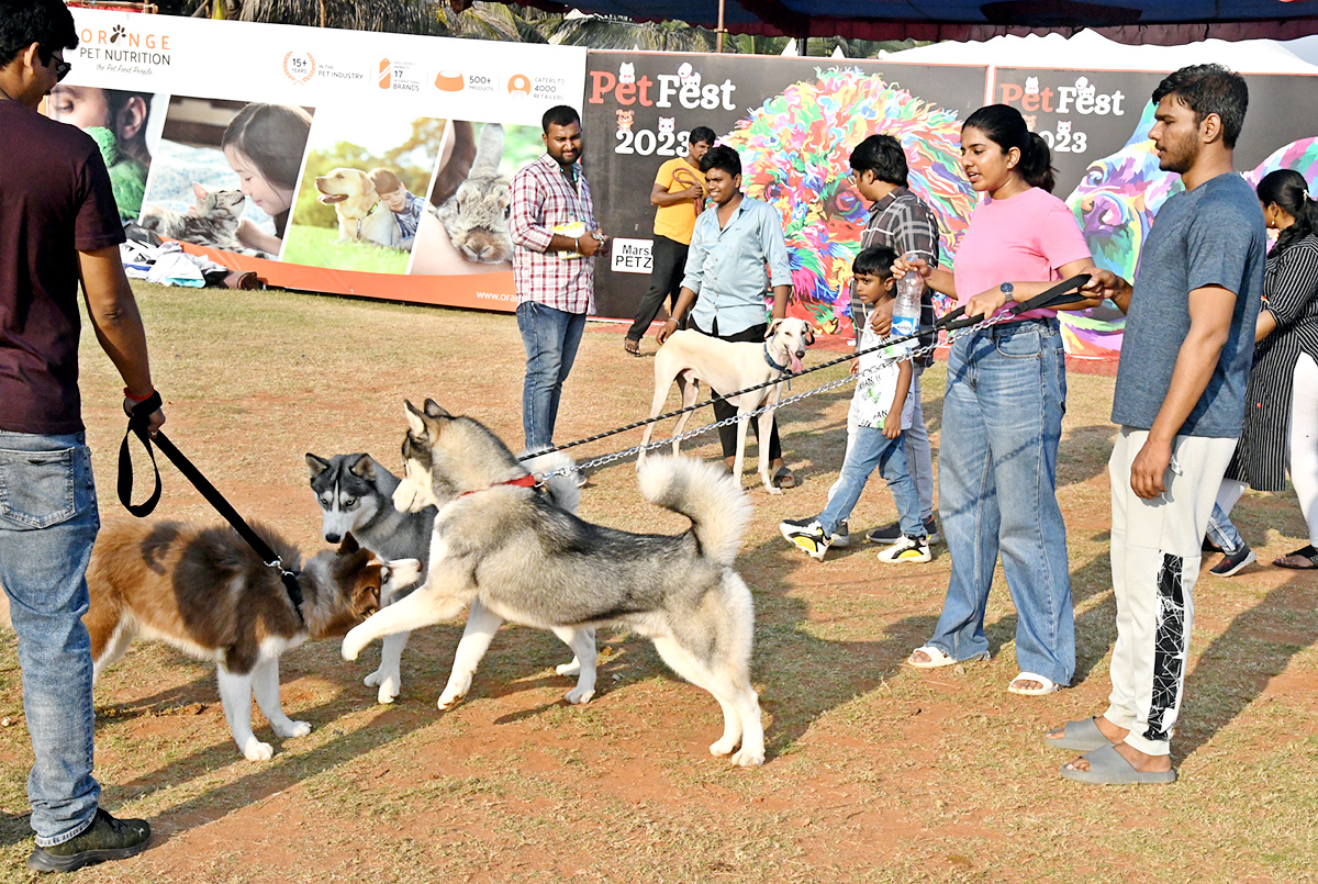 Dog show In Visakhapatnam - Sakshi1