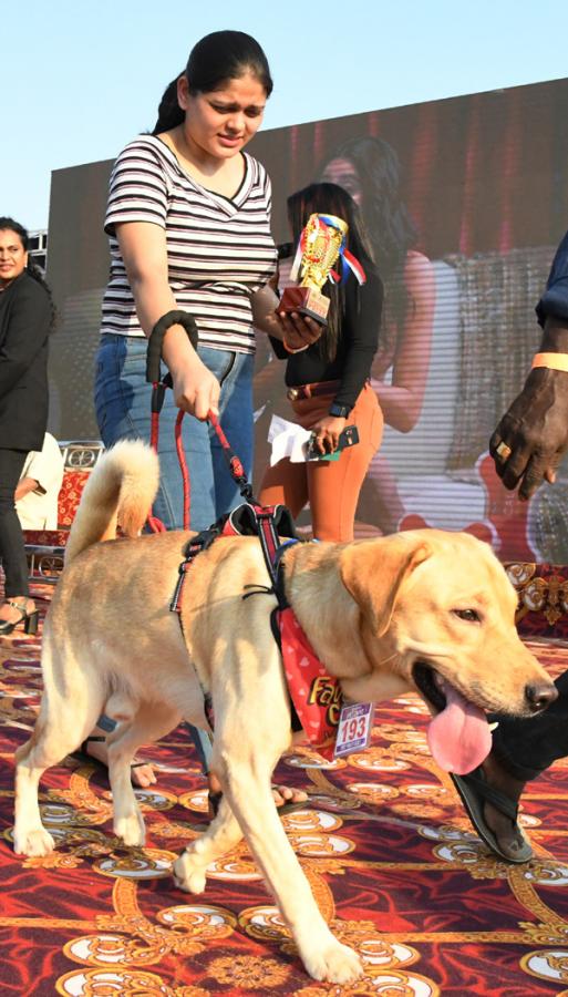 Dog show In Visakhapatnam - Sakshi20