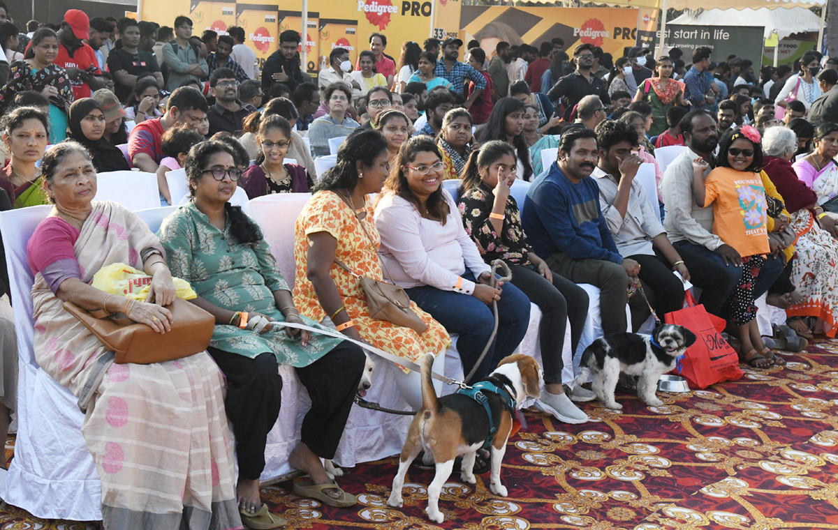 Dog show In Visakhapatnam - Sakshi5