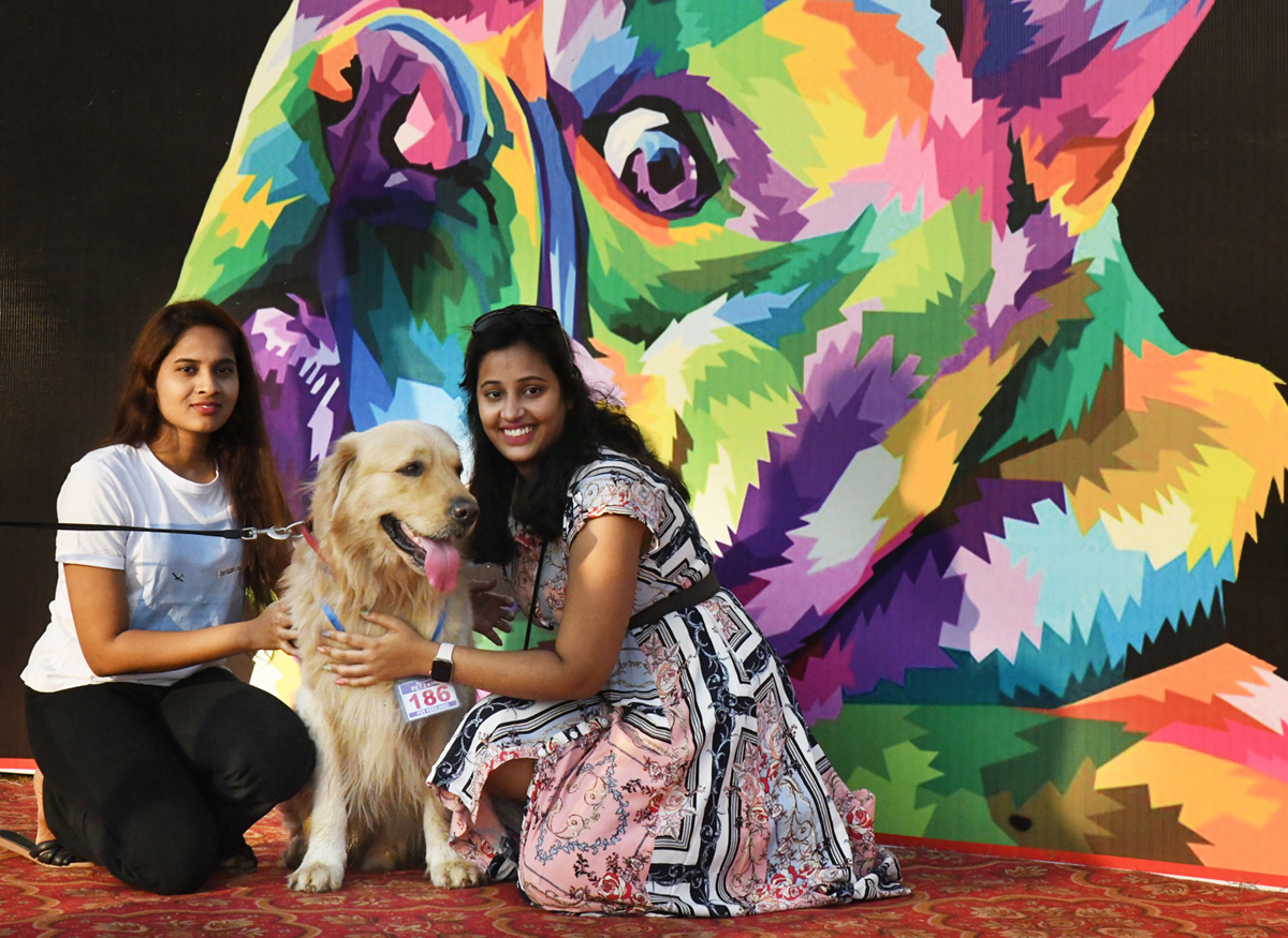 Dog show In Visakhapatnam - Sakshi11