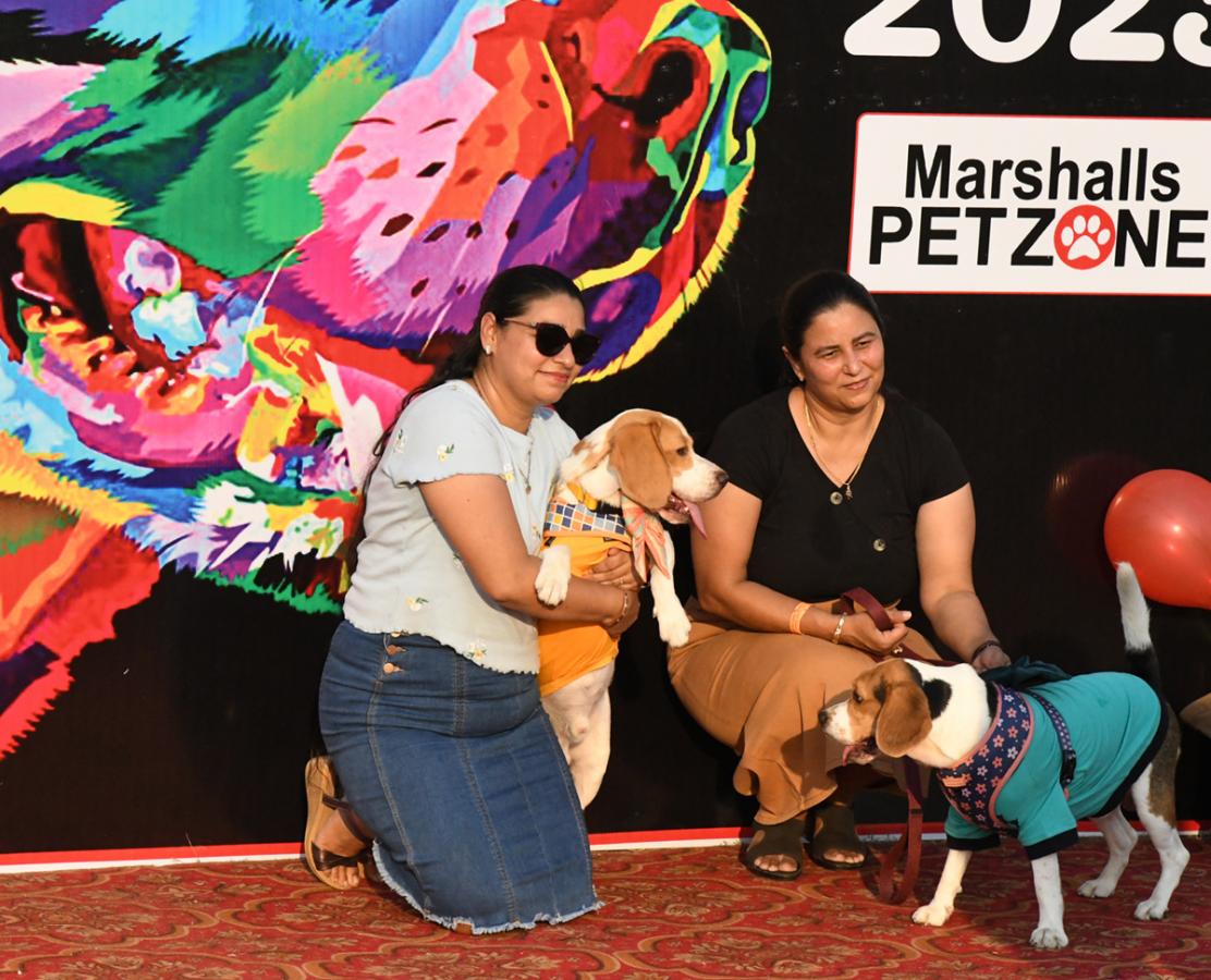 Dog show In Visakhapatnam - Sakshi12