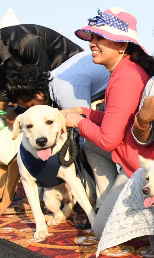 Dog show In Visakhapatnam - Sakshi22