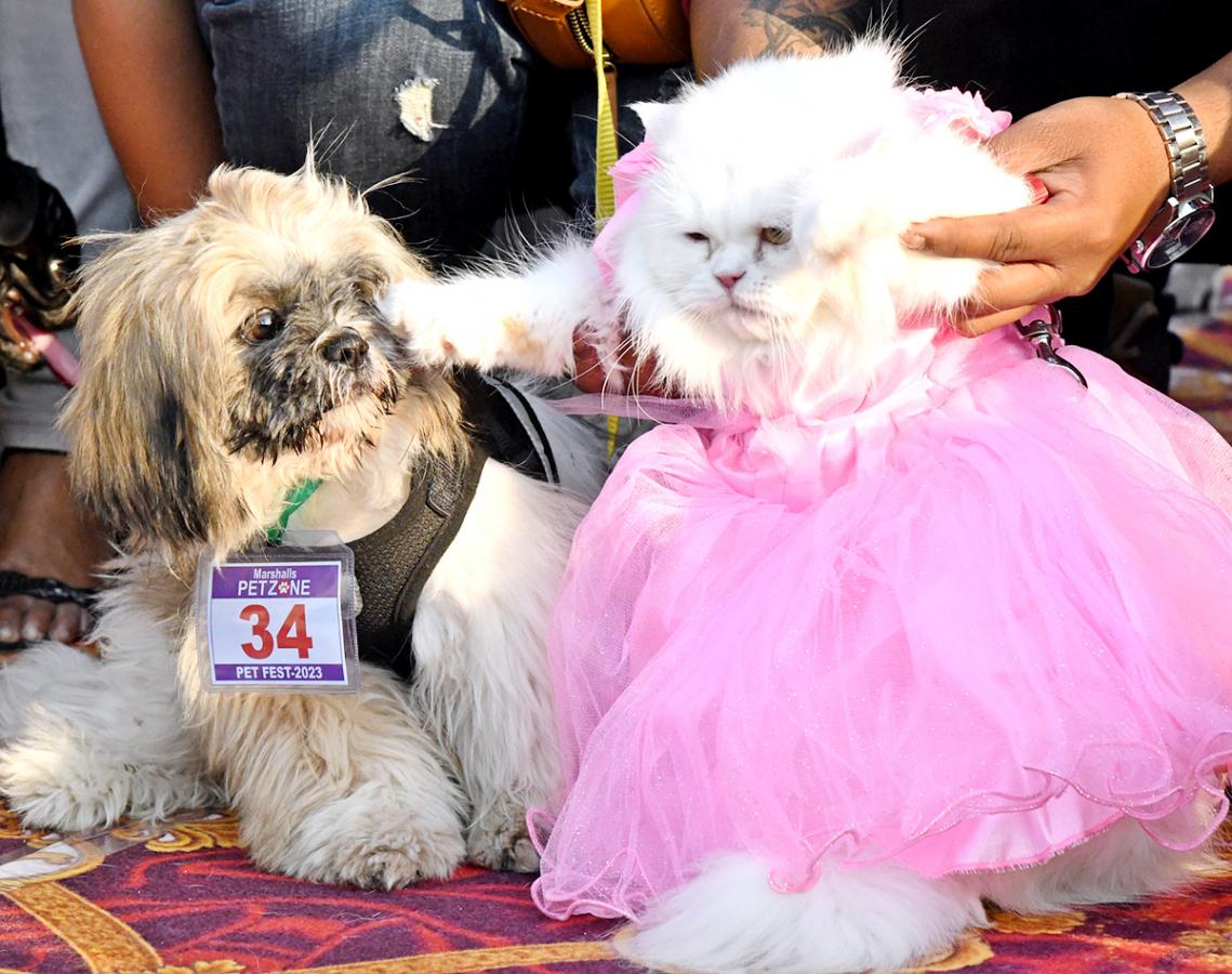 Dog show In Visakhapatnam - Sakshi13