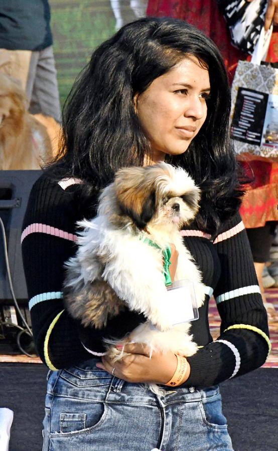 Dog show In Visakhapatnam - Sakshi23