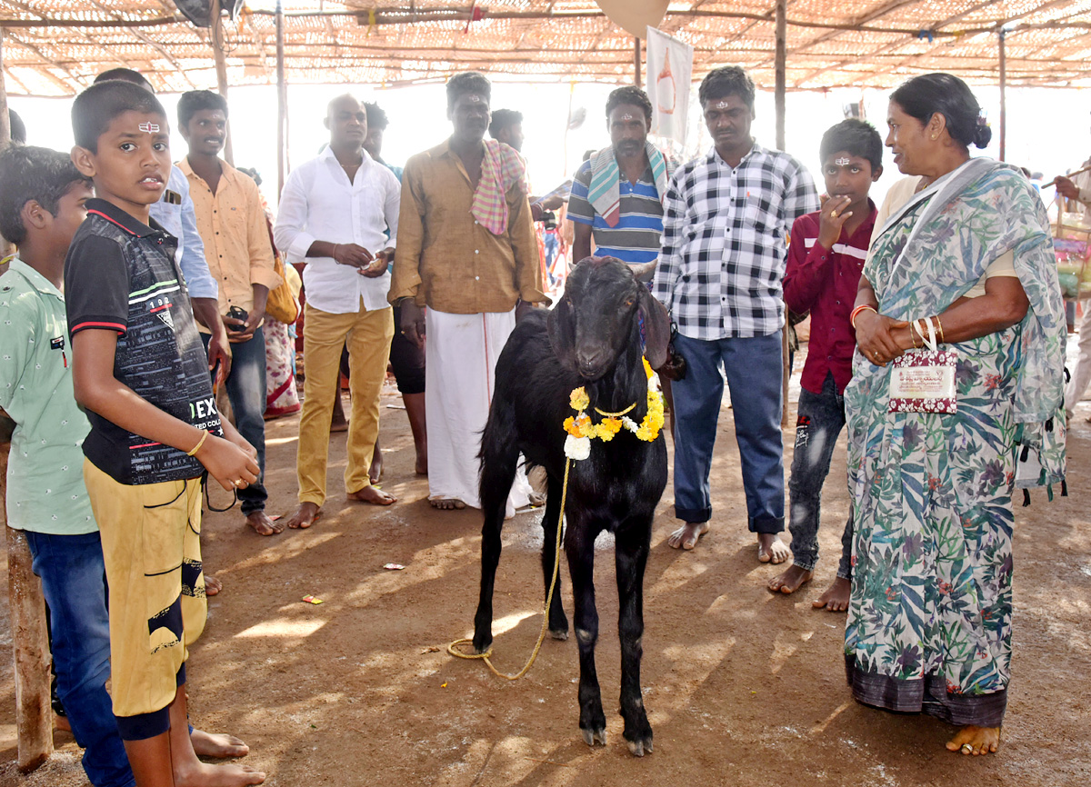 Huge Devotees Rush at Peddagattu Lingamanthula Swamy Jatara - Sakshi8