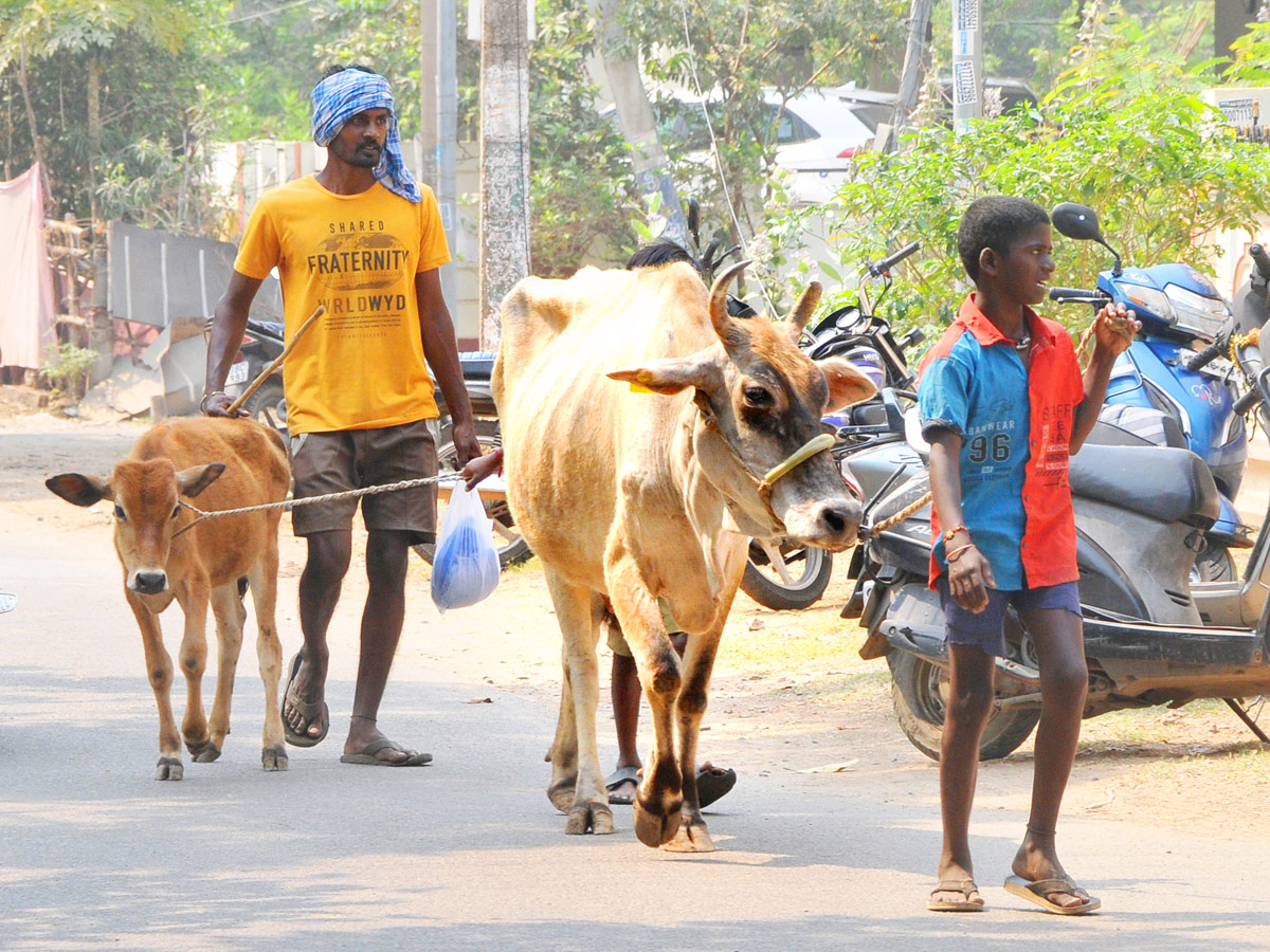 Best Photos of The Week in AP and Telangana Photo Gallery - Sakshi39