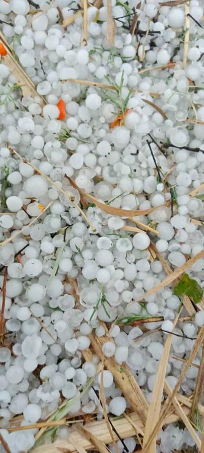 Heavy Rain In Hyderabad Photos - Sakshi19