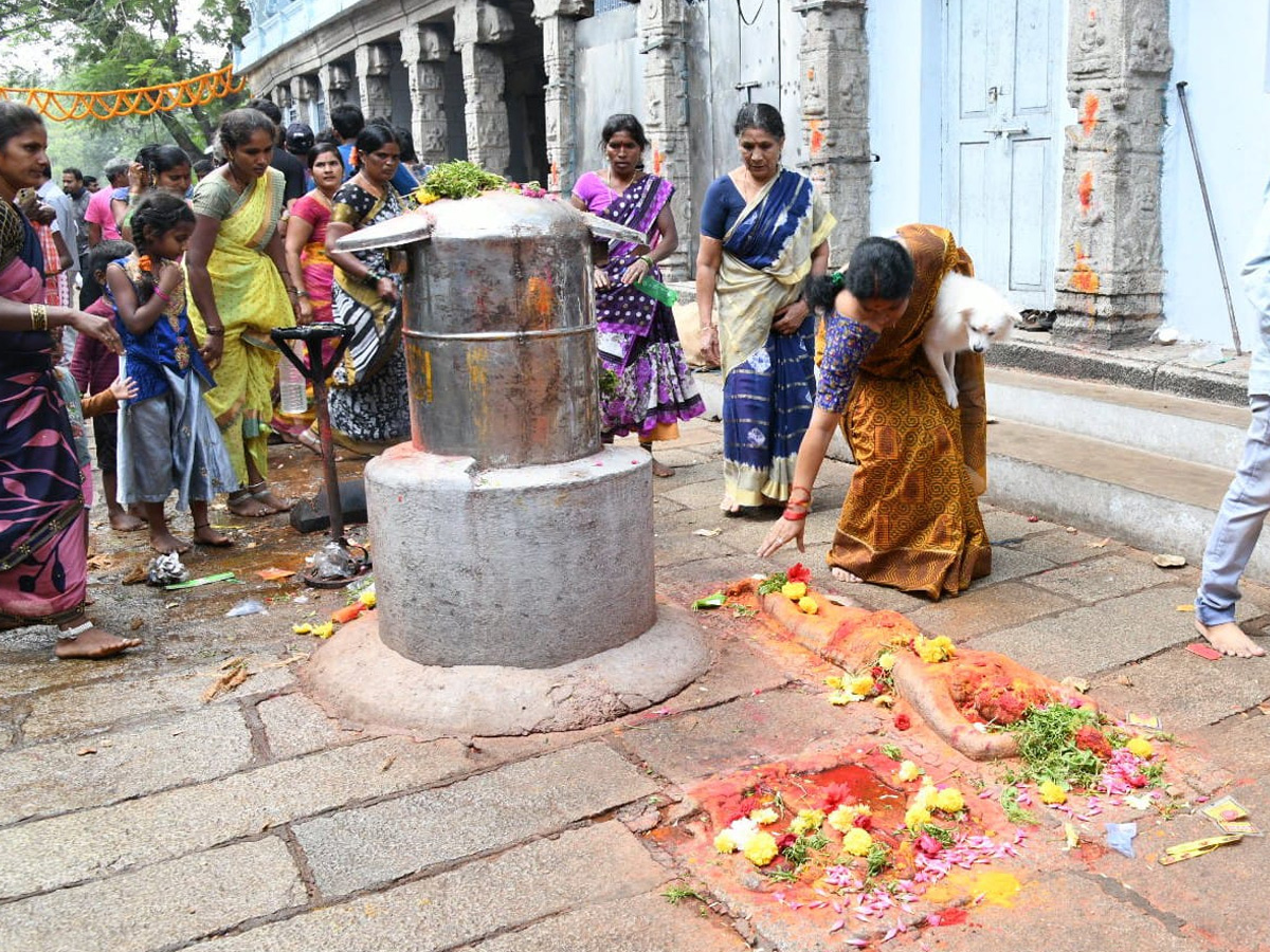 Huge crowd of devotees in Tirumala Photos - Sakshi2