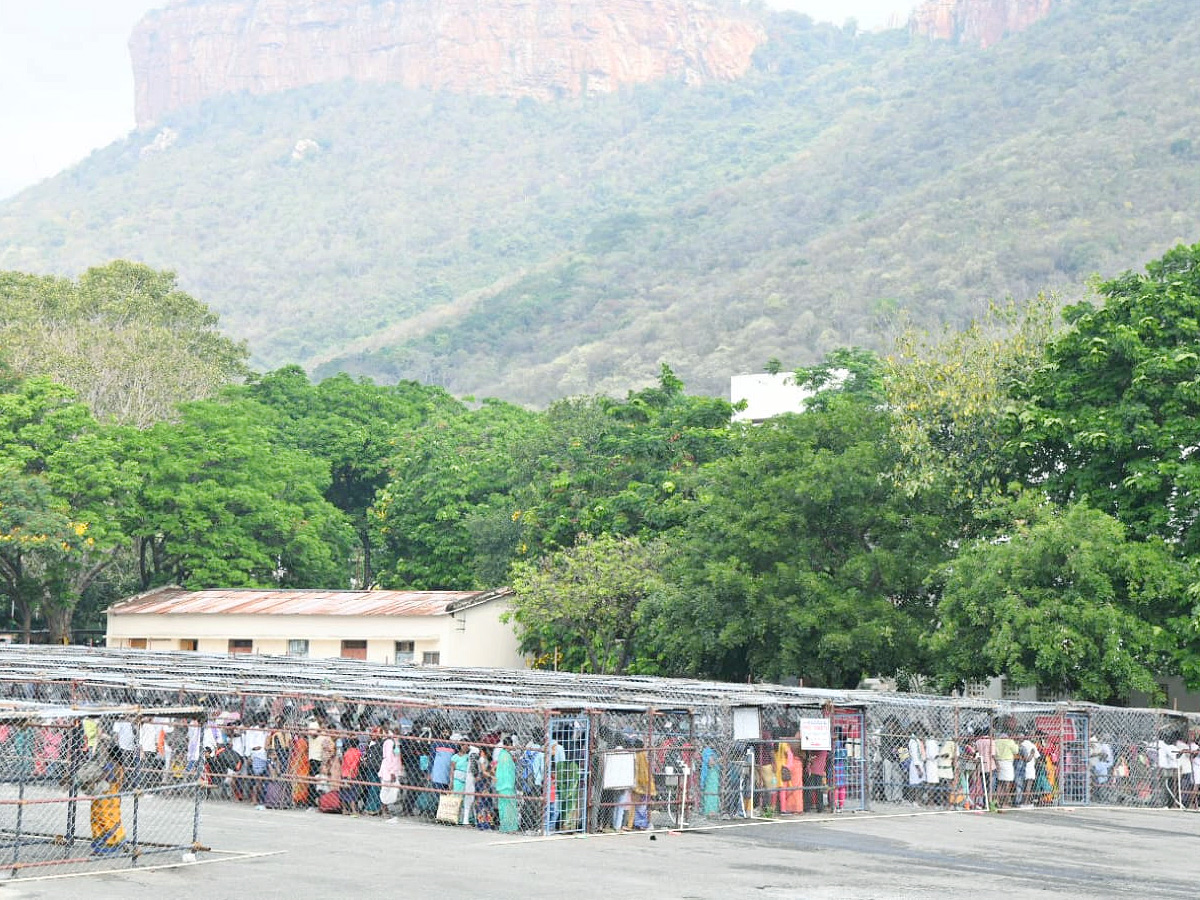 Huge crowd of devotees in Tirumala Photos - Sakshi8