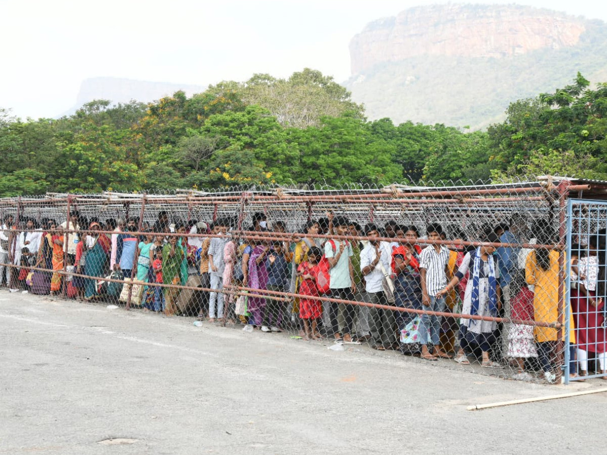 Huge crowd of devotees in Tirumala Photos - Sakshi9