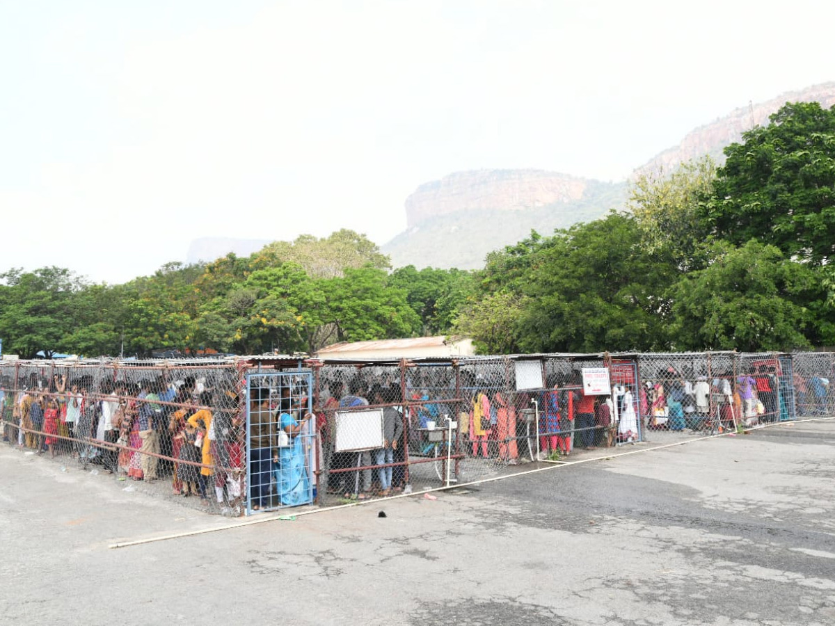 Huge crowd of devotees in Tirumala Photos - Sakshi10